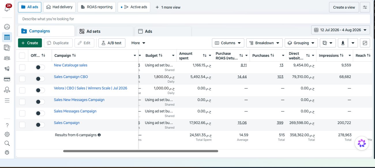 E-commerce ads manager results screenshot