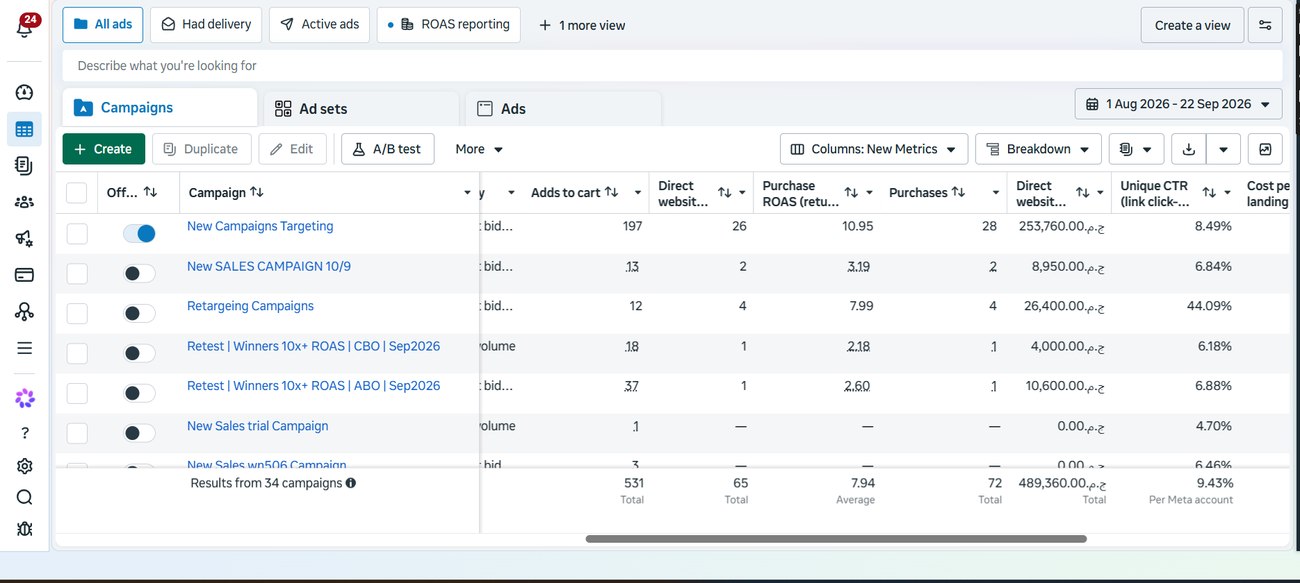 E-commerce ads manager results screenshot